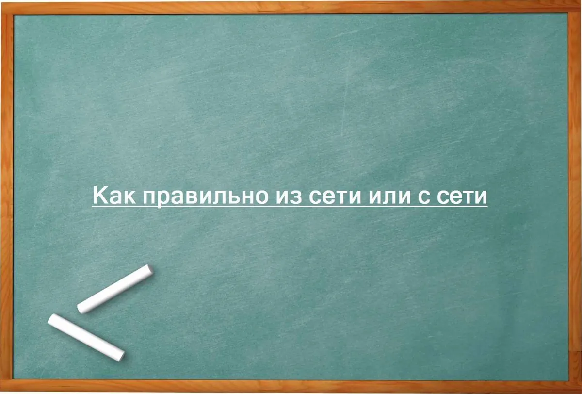 Как правильно из сети или с сети